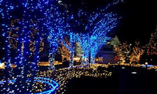 Christmas_Lights1