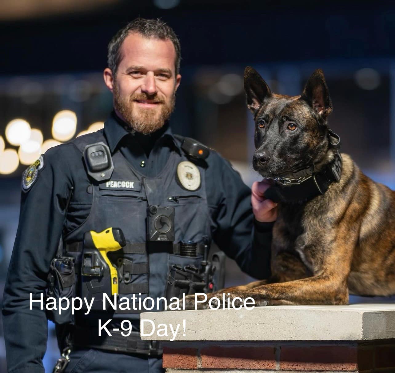 481235696_941983071456541_663200213164356574_n